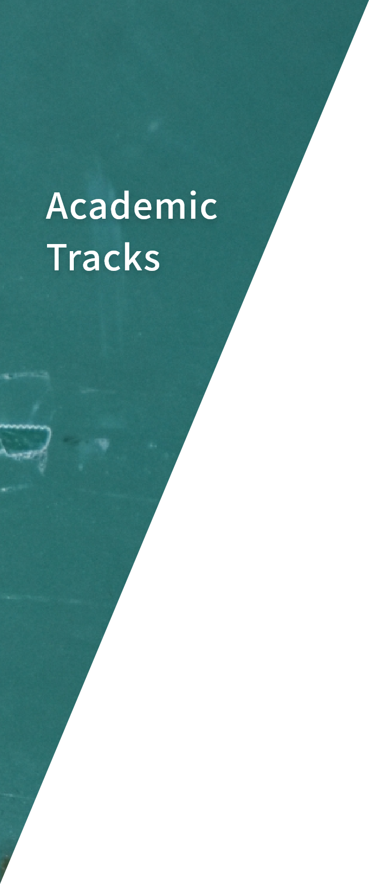 Academic Tracks